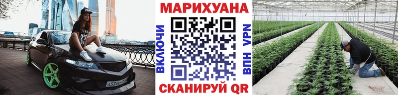 Шишки марихуана семена мориарти Telegram Петров Вал